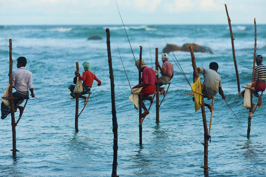 Шрі Ланка рибалки на палицях