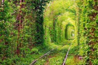Тунель кохання на Рівненщині вирішили закрити на карантин