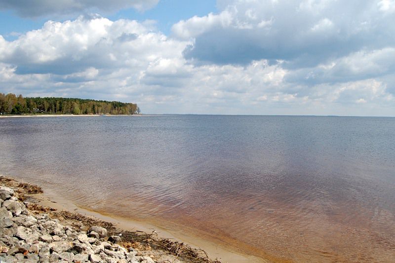місця для купання недалеко від києва лебедівка київське море водосховище пляж 