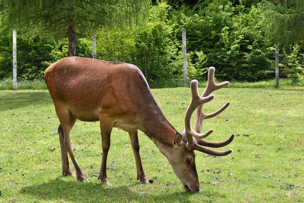 Галицький національний природний парк