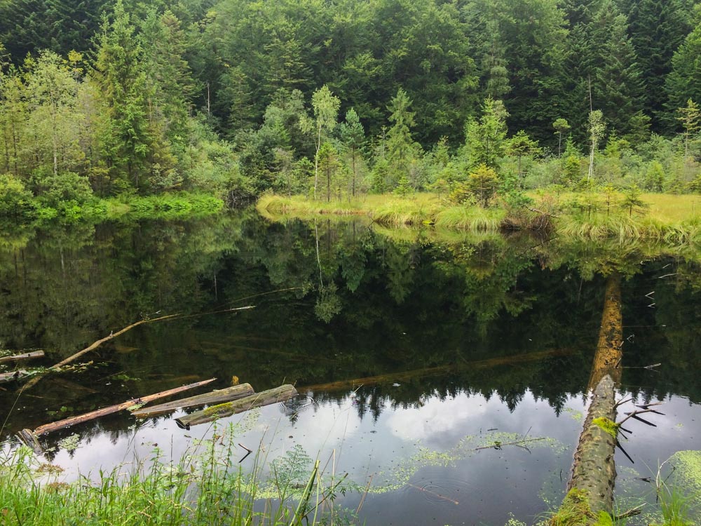 Водоспад Кам'янка та Мертве (Журавлине) озеро