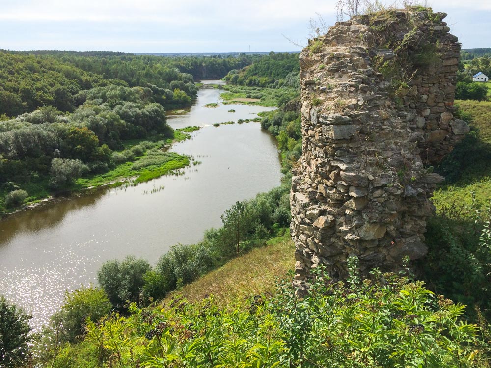 Руїни Губківського замку, с. Губків 