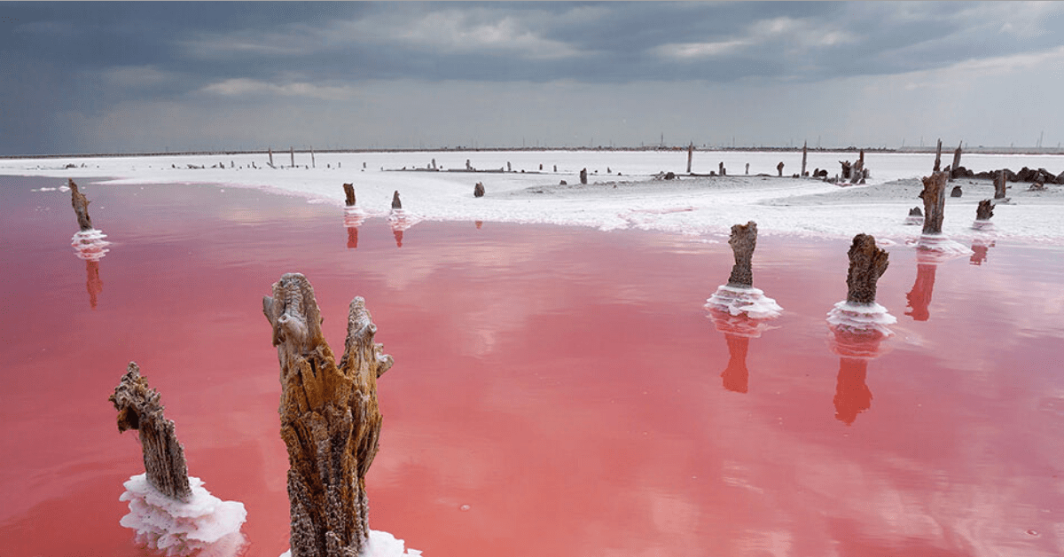 Рожеві озера україни список