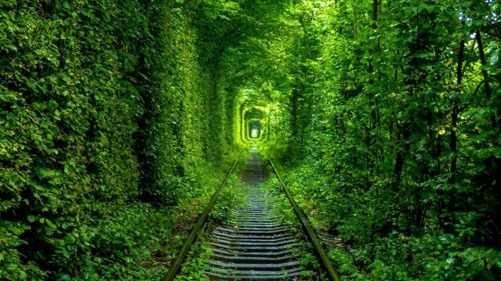 Романтичний тунель у Клевані цікаві відомі місця рівненської області