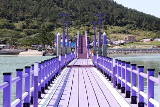 В Кореї курортний острів перефарбували у фіолетовий колір