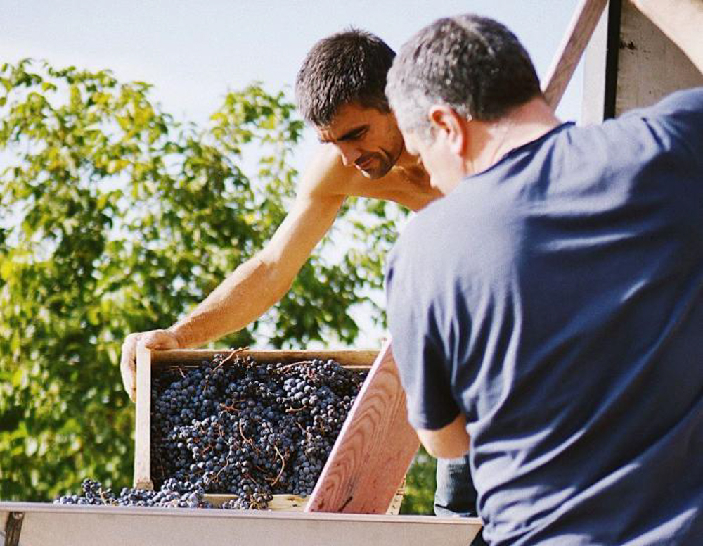Виноробня Vinoman Winery чернігівська область поблизу києва