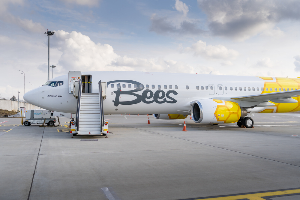 Bees Airline отримав дозвіл відкрити 12 напрямків взимку