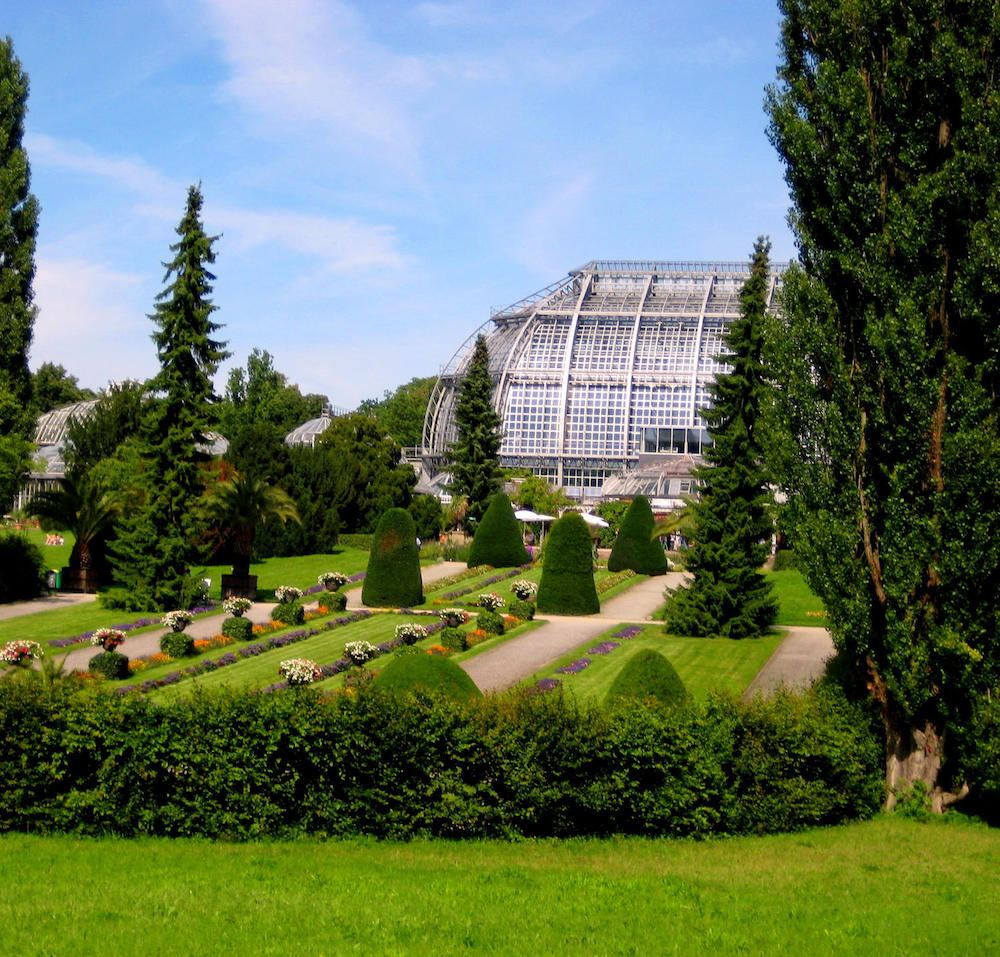Berlin Botanical Garden ботанічний сад в берліні