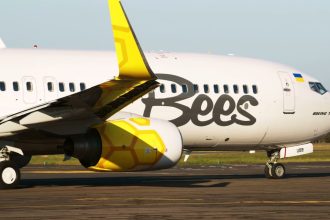 Bees: знижка 25% на рейси протягом лютого