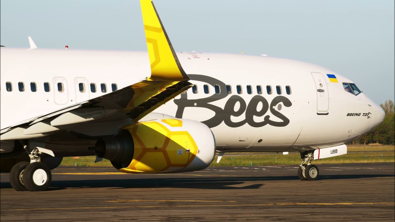 Bees: знижка 25% на рейси протягом лютого
