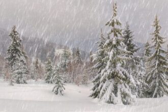 В Карпатах довелось рятувати двох туристів, яких застав снігопад