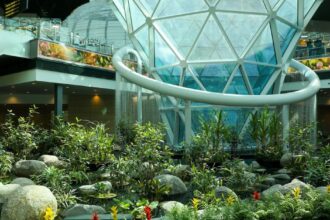 В катарському аеропорту відкрили величезний критий сад