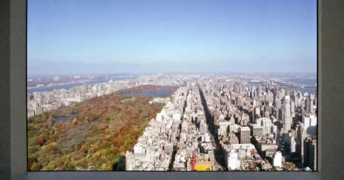 Художниця прикинулась мільярдеркою, щоб сфотографувати найкращі краєвиди Нью-Йорка