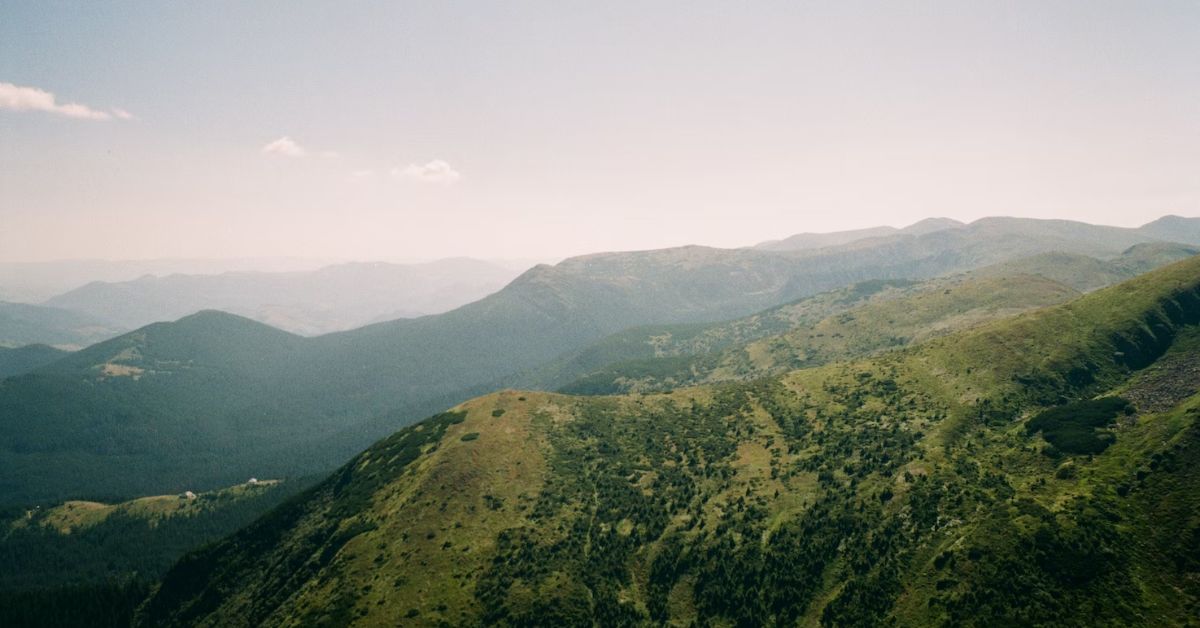 У Карпатах хочуть збудувати ще два гірськолижні курорти: чому активісти проти