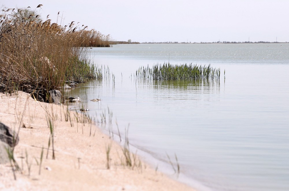 озеро сасик одеська область