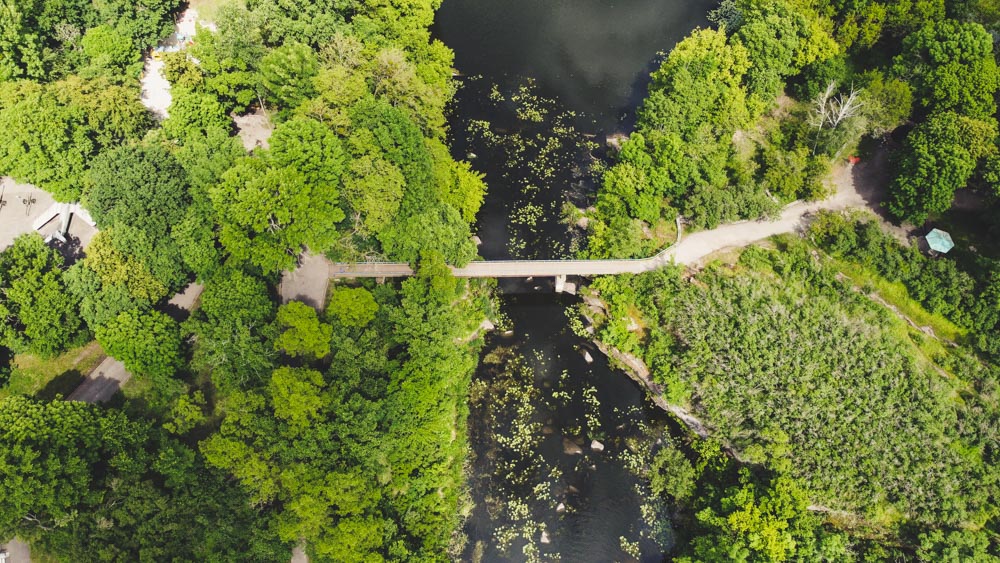 дендропарк корсунь-шевченківський як доїхати що подивитися