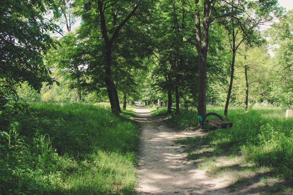 дендропарк корсунь-шевченківський як доїхати що подивитися