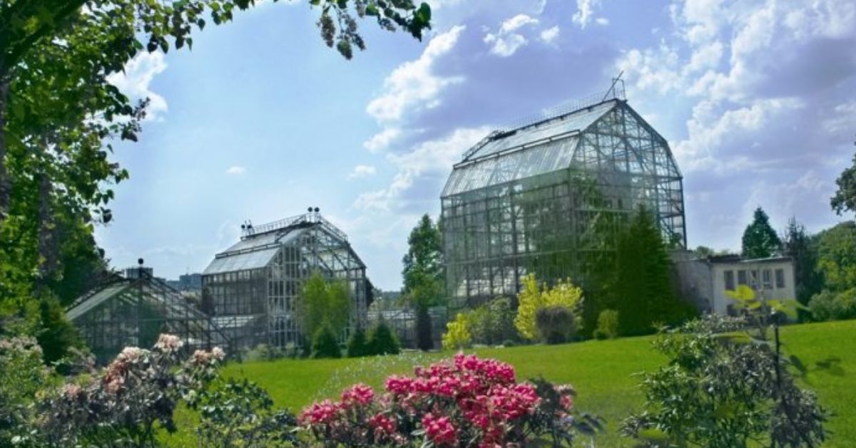 У Львові знову можна відвідати Ботанічний сад