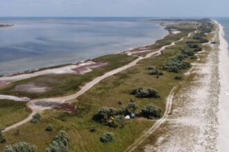 Місцеві жителі не мають чим гасити пожежі на Кінбурнській косі
