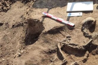 На Харківщині знайшли поховання віком понад 3 тис. років