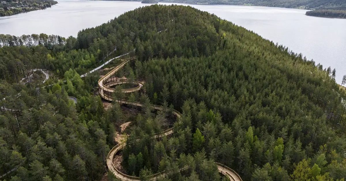 У Норвегії збудували доріжку серед верхівок дерев