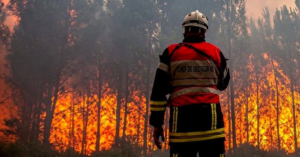 Лісові пожежі охопили вже дев'ять країн Середземномор'я
