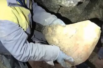На Тернопільщині археологи виявили артефакт Трипільської культури