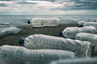 Німецький університет закликав присилати сміття, знайдене на березі моря чи океану