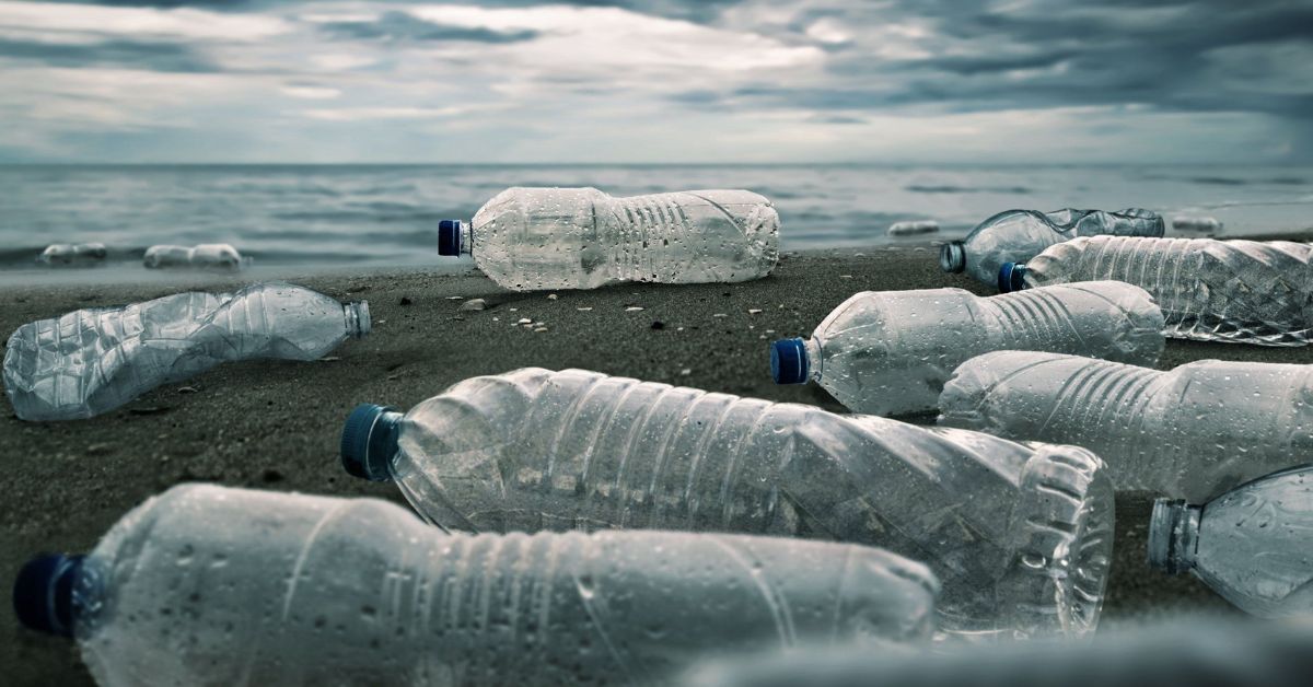 Німецький університет закликав присилати сміття, знайдене на березі моря чи океану