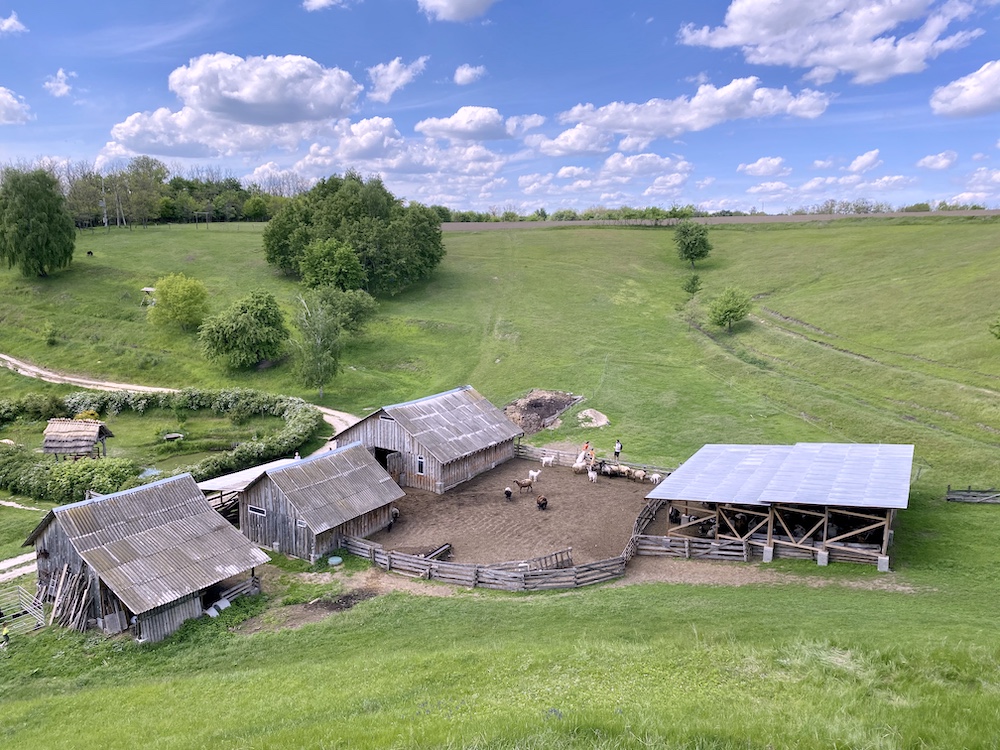 Овеча ферма у Васильківських Карпатах Sheepland 