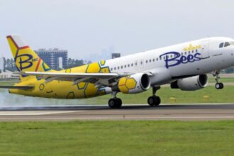 Нова румунська авіакомпанія Bees Airlines, яка пов’язана з Україною, запустила перші рейси