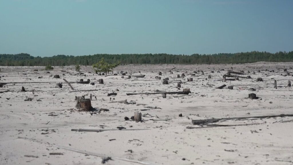 пустеля та вирубані дерева на місці копальні бурштина на Рівненщині