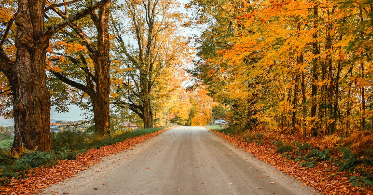 ідеї маршрутів на осінь