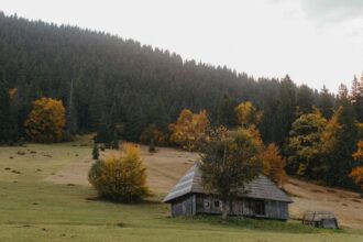 Затишний цегляний котедж з садом в англійській сільській місцевості