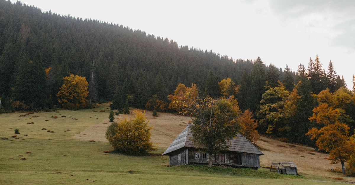Затишний цегляний котедж з садом в англійській сільській місцевості
