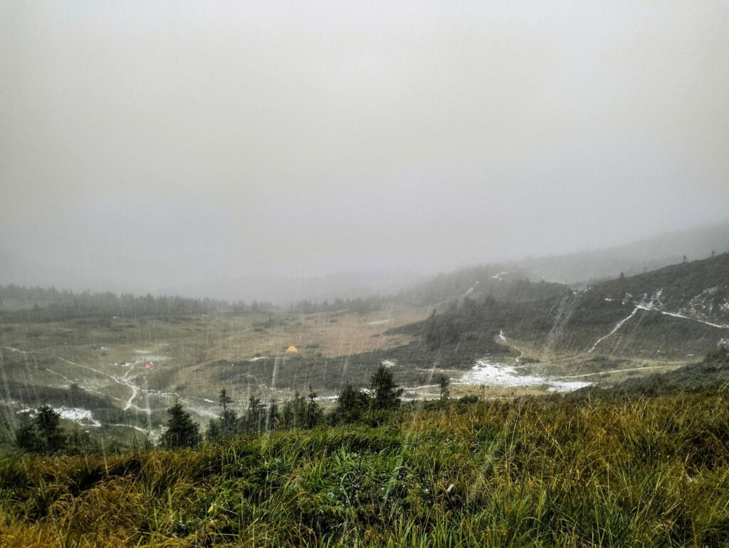 Зелені схили Карпат біля турбази 'Заросляк', притрушені снігом