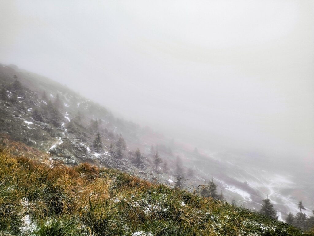 Зелені схили Карпат біля турбази 'Заросляк', притрушені снігом