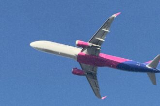 Літак авіакомпанії Wizz Air Airbus A321neo у фірмовій лівреї