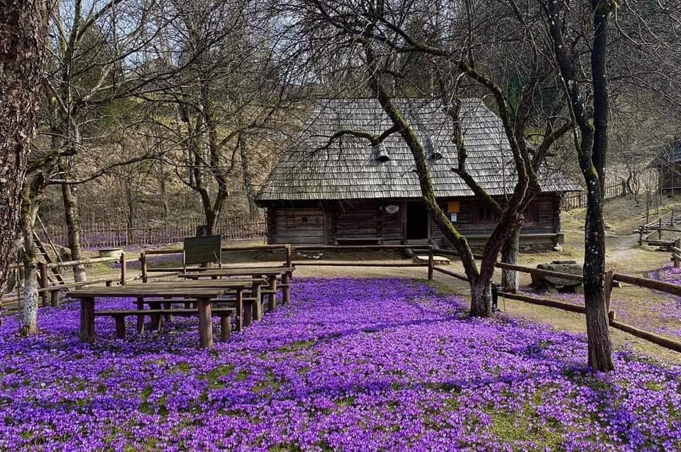 Село Колочава навесні