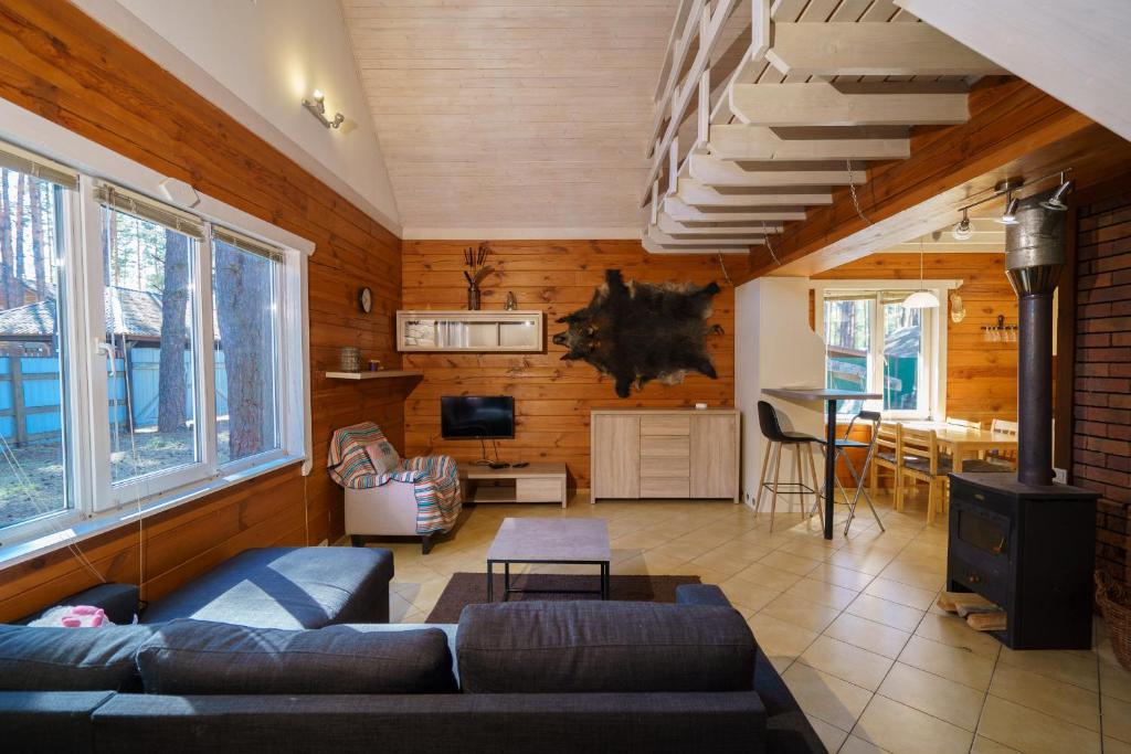 екодім х каміном воропаїв