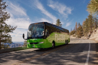 Зелений автобус FlixBus на дорозі взимку