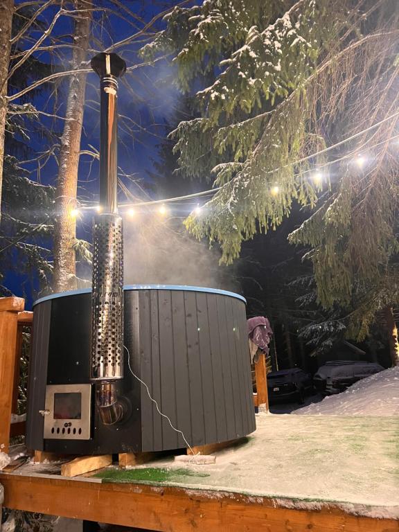 яблуниця будинок з чаном смерка