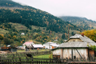 Карпати, здоров’я та автентика: куди та навіщо подорожували українці у 2025 році