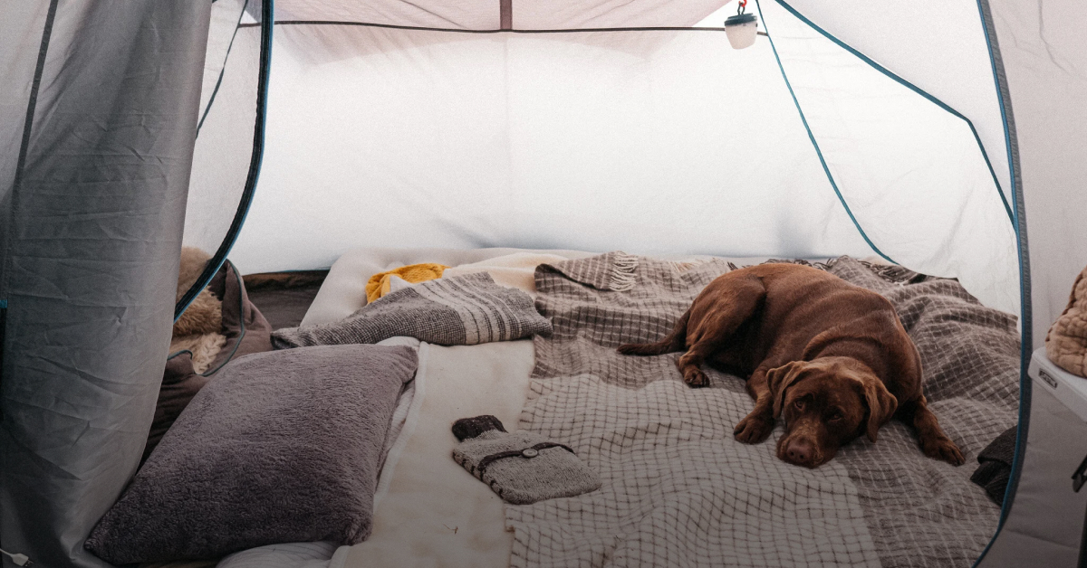 туристичні лайфхаки які допоможуть зігрітися