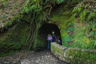 10 пішохідних маршрутів Мадейри, від яких перехоплює подих