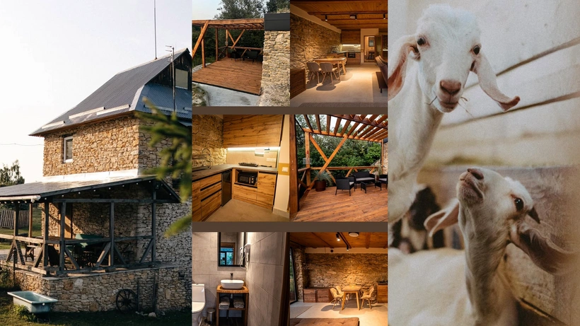 GREEN OAK Рівненська область, село Зелений Дуб