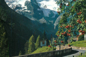 Альпи, безкоштовне житло та €400 зверху: відкрито набір волонтерів для секретного дослідження