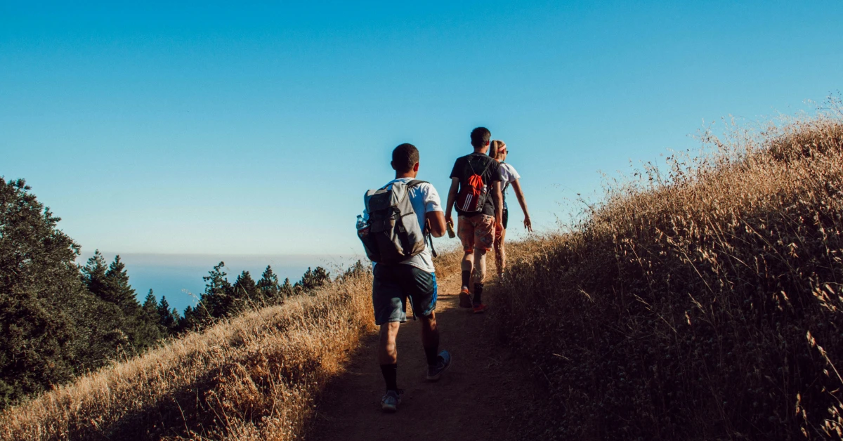 Туристичний збір 2025: рекордні прибутки Івано-Франківщини та Львова.