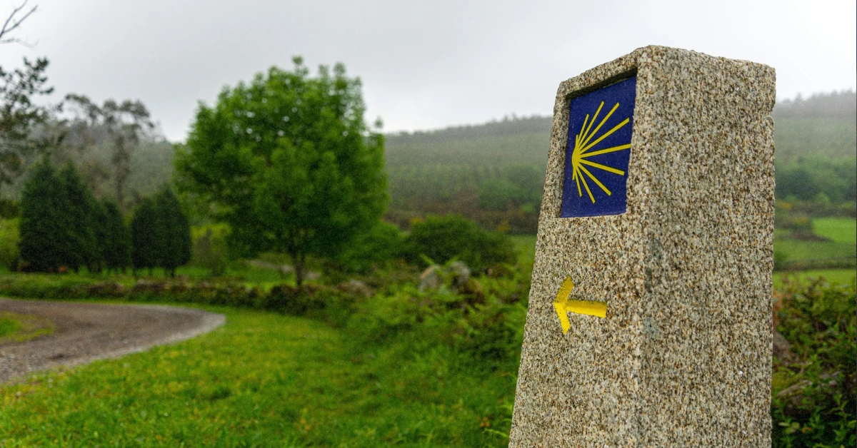 Символ мушлі — вказівник Шляху святого Якова на фоні мальовничого пейзажу Львівщини