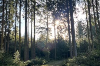 Новий 350-кілометровий пішохідний маршрут відкриють у Франції та Бельгії